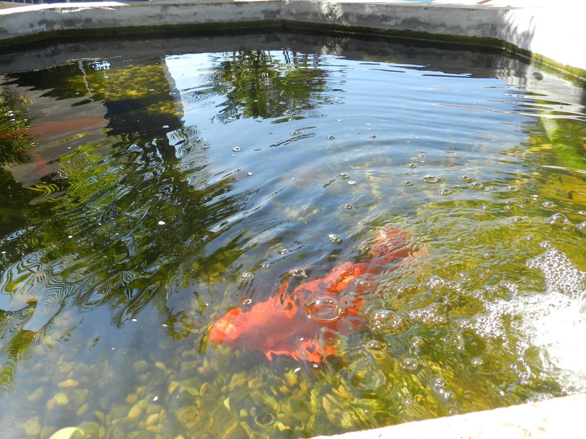 Paradise Inn Hotel Catanduva  Dış mekan fotoğraf